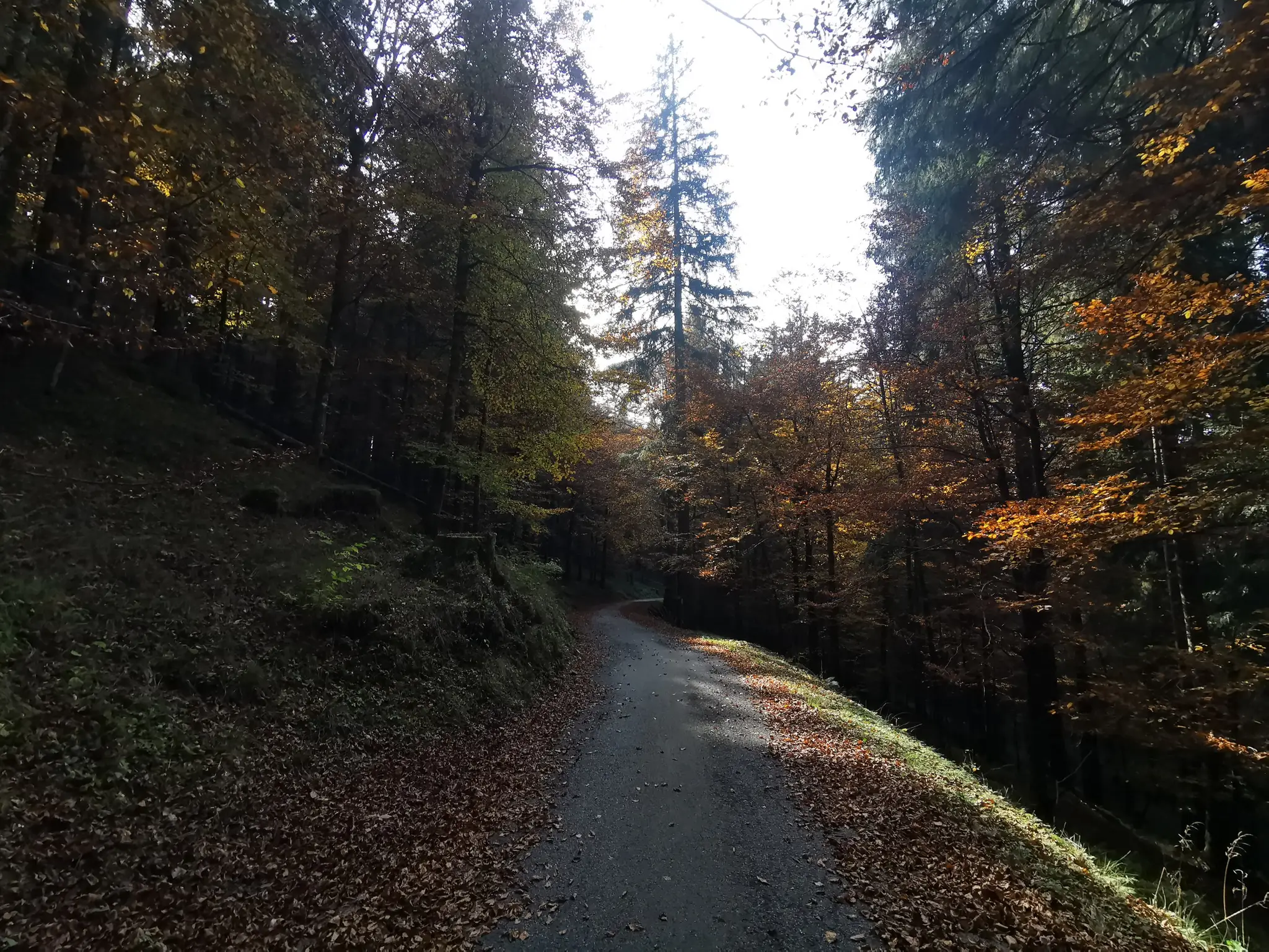 alpago cansiglio 14