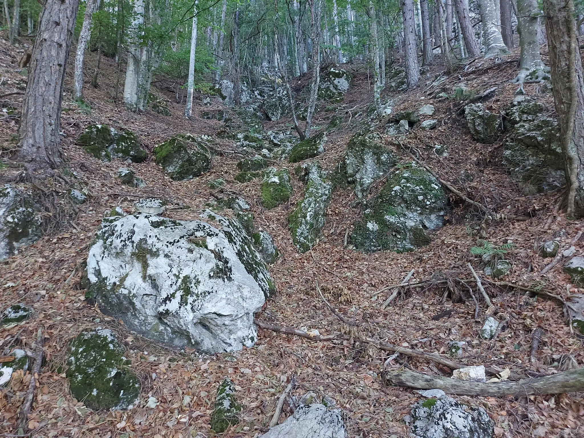 MONTE PIZZOC - VITTORIO VENETO 12