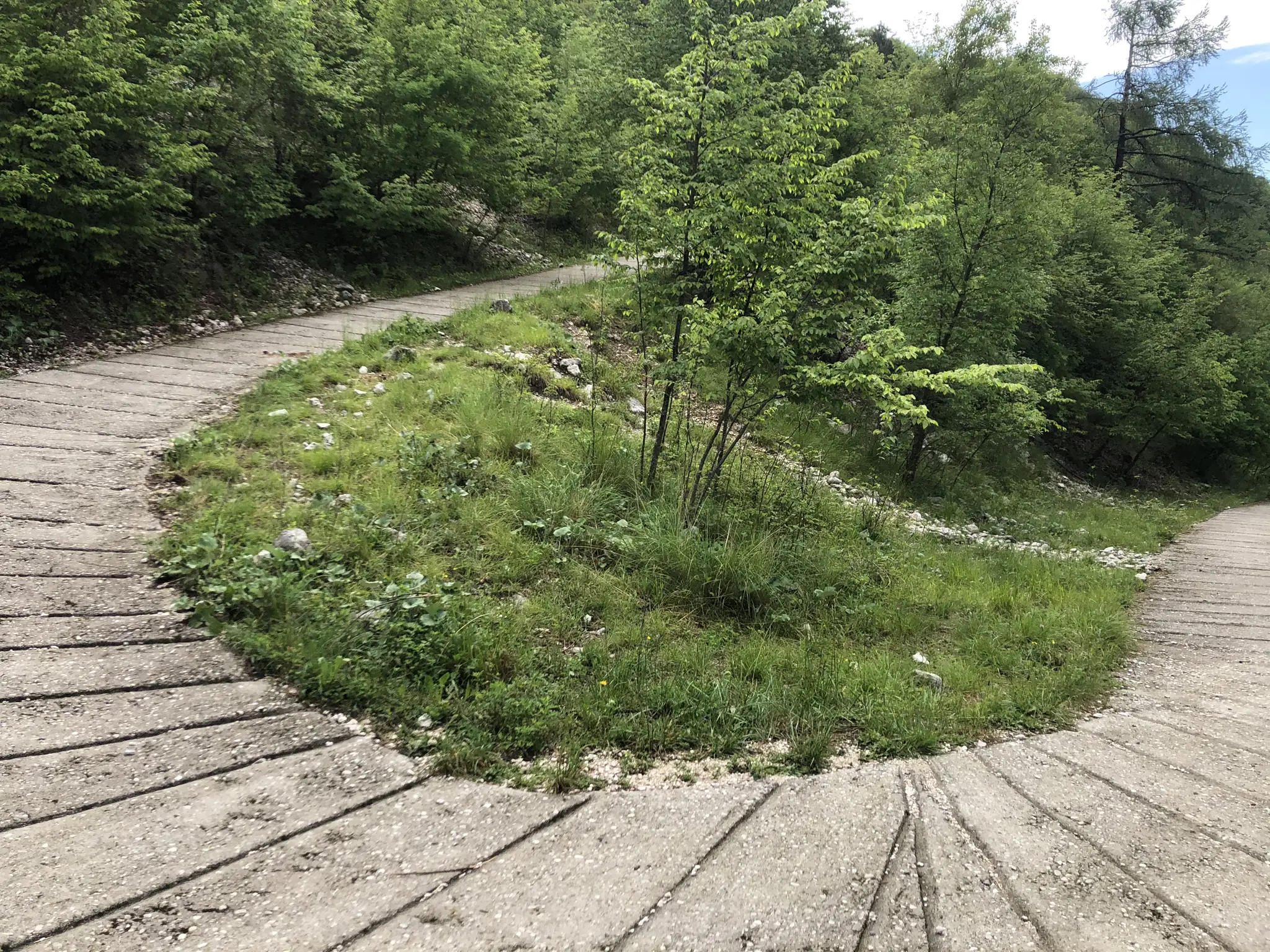 MONTE PIZZOC - VITTORIO VENETO 13