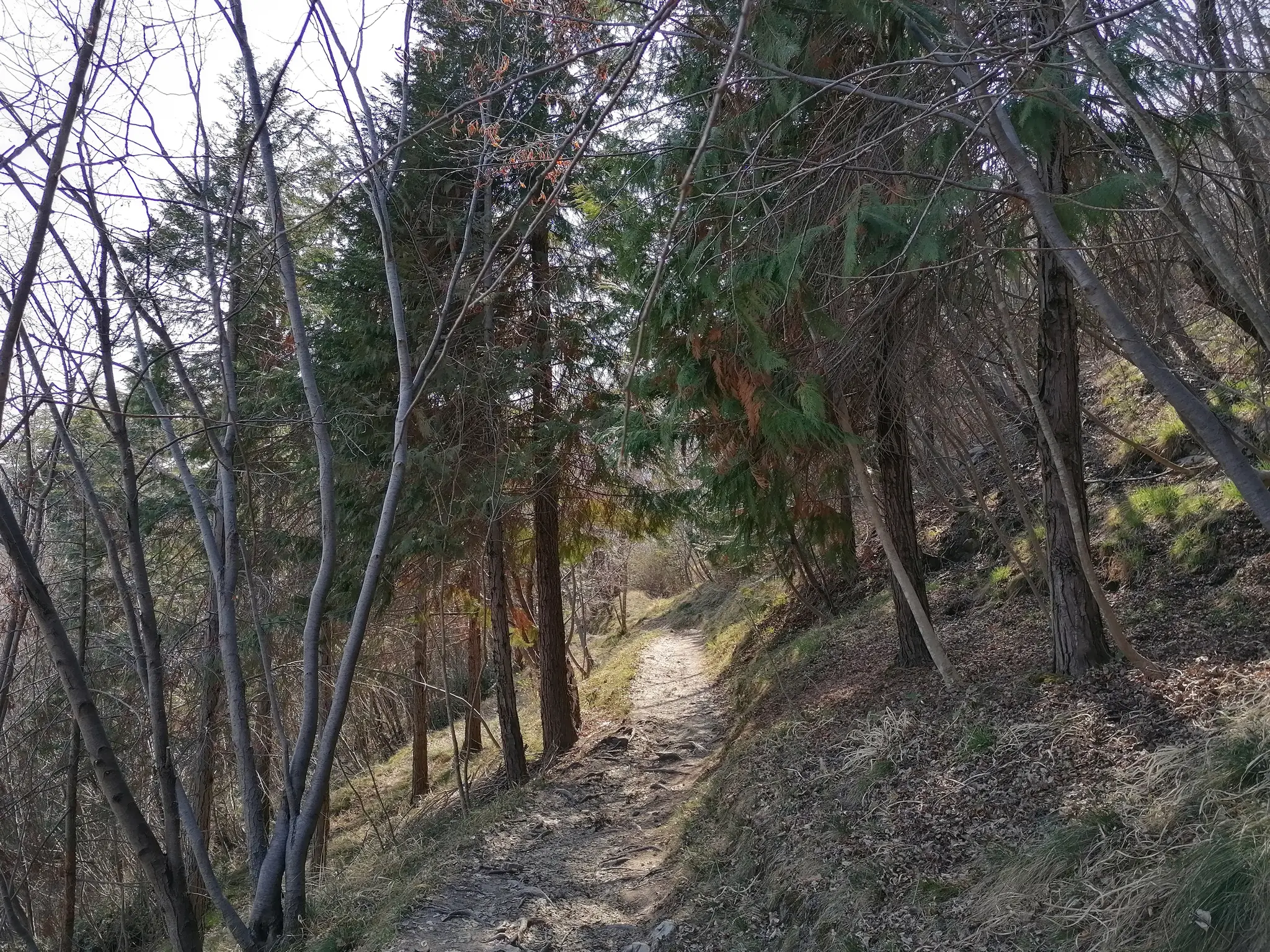 MONTE PIZZOC - VITTORIO VENETO 9