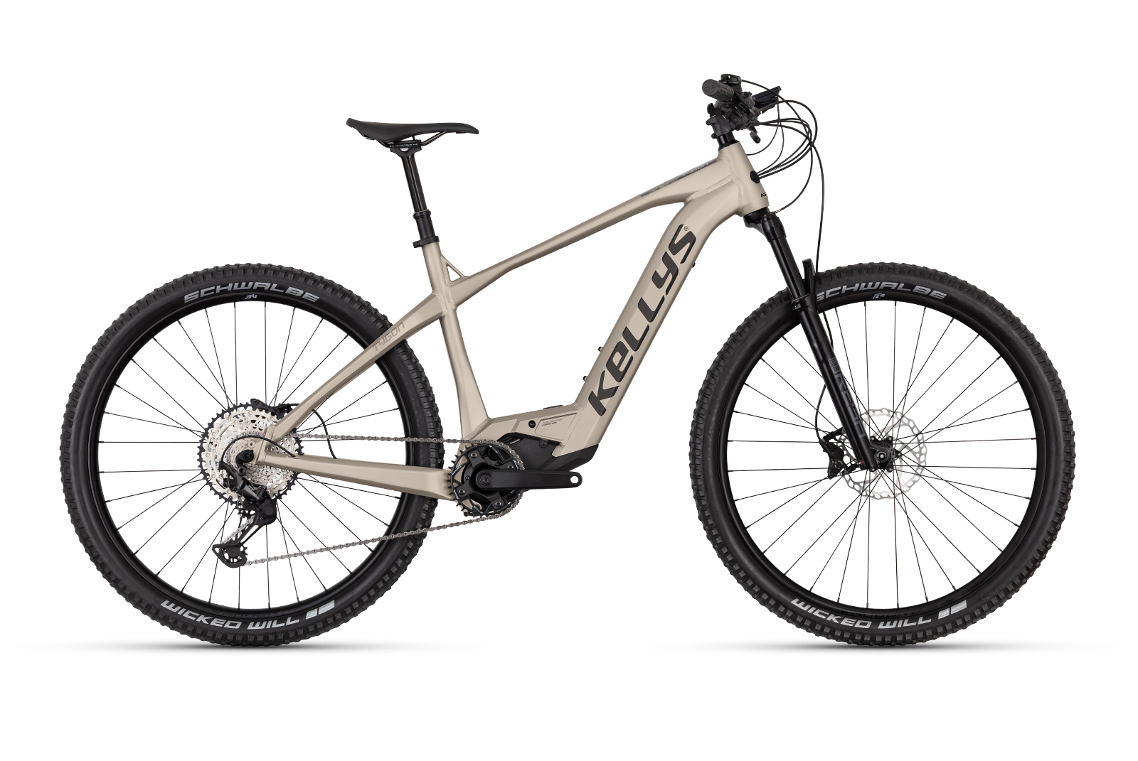 Noleggio Mountain E-bike Cansiglio